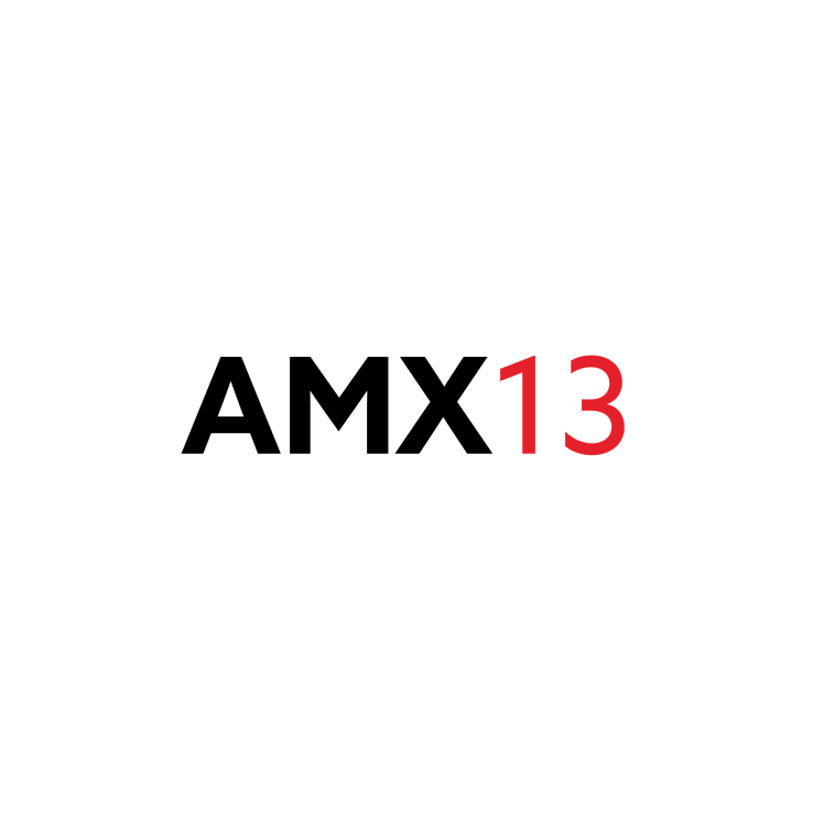 AMX13 case study